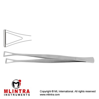 Collin-Duval Intestinal Forceps Stainless Steel, 20 cm - 8" Width 14.0 mm
